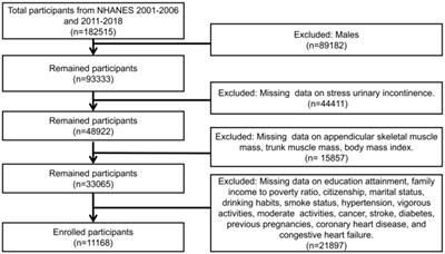 The impact of appendicular skeletal muscle index and trunk muscle index on stress urinary incontinence risk in female adults: a retrospective study